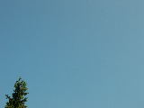 DSCN3175