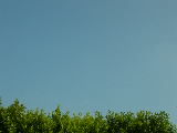 DSCN3176