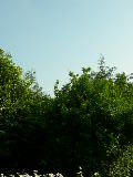 DSCN3178