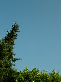 DSCN3179