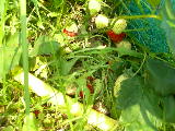 DSCN3182