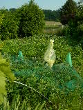 DSCN3183