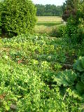 DSCN3184