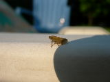 DSCN3198