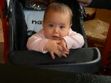 DSCN3543