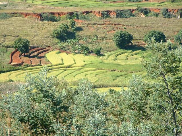 20030428 1318 177 Madagascar