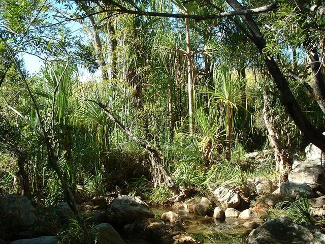 20030429 0929 203 Madagascar