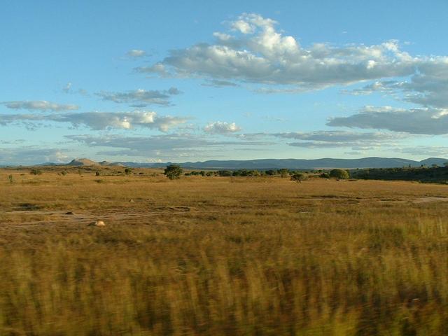 20030502 1657 325 Madagascar