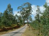 20030428 1042 172 Madagascar