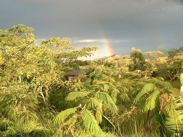 200304 004 Madagascar
