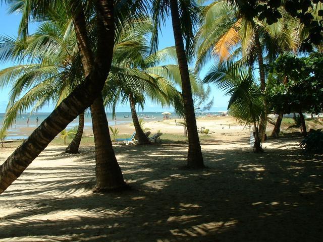 200304 017 Madagascar