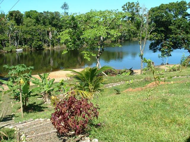 200304 050 Madagascar