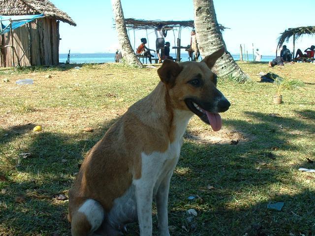 200304 056 Madagascar