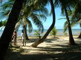 200304 016 Madagascar