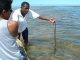 200304 022 Madagascar