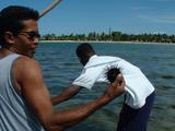 200304 023 Madagascar
