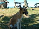 200304 056 Madagascar