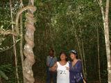 200304 064 Madagascar