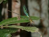 200304 069 Madagascar