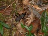 200304 070 Madagascar