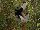 200304 072 Madagascar