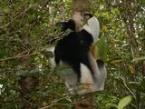 200304 073 Madagascar