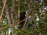 200304 074 Madagascar
