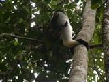 200304 076 Madagascar