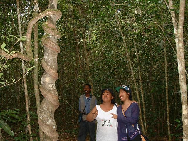 200304 064 Madagascar