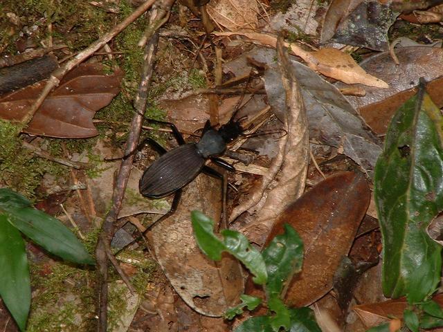 200304 070 Madagascar