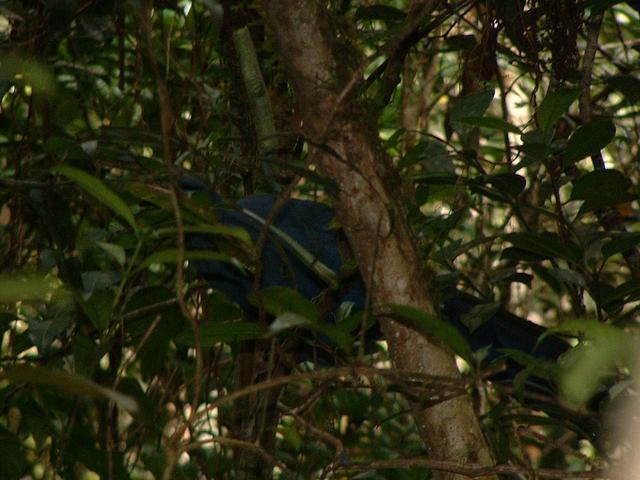 200304 071 Madagascar