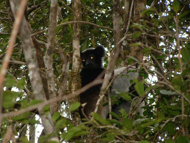 200304 074 Madagascar