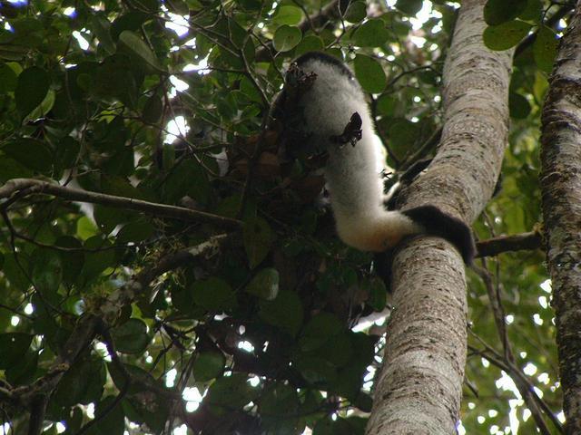 200304 076 Madagascar