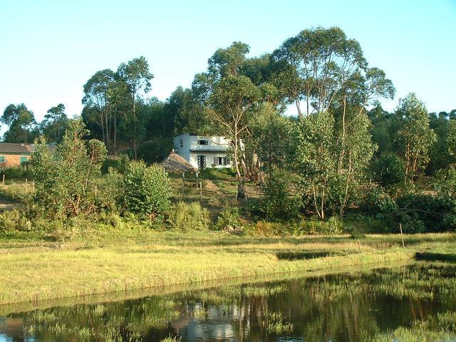 200304 088 Madagascar