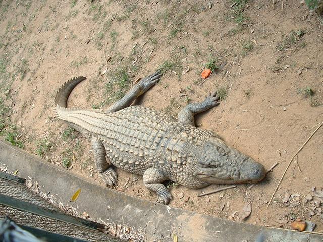 200304 092 Madagascar