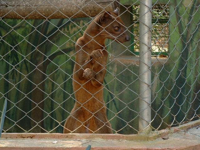 200304 104 Madagascar