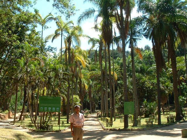 200304 105 Madagascar