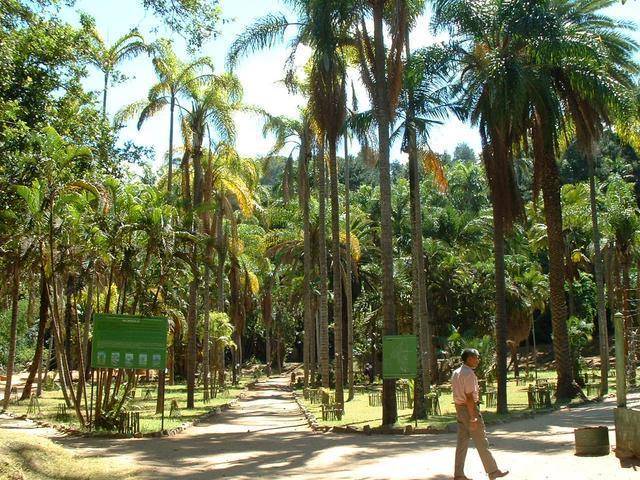 200304 106 Madagascar
