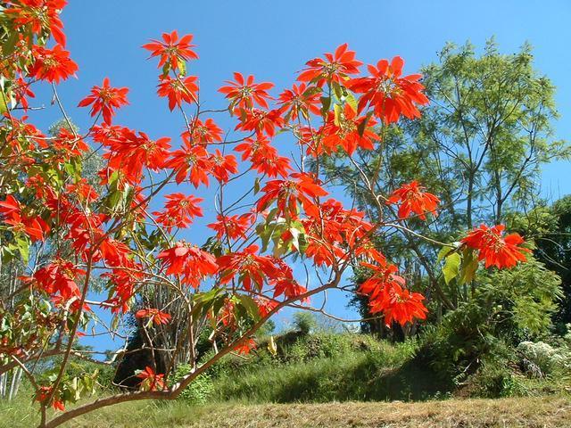 200304 108 Madagascar