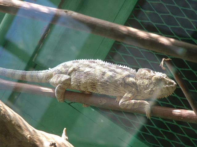 200304 110 Madagascar