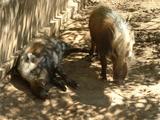 200304 100 Madagascar