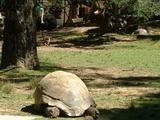 200304 102 Madagascar