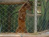 200304 104 Madagascar