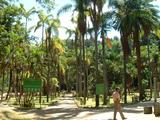 200304 106 Madagascar