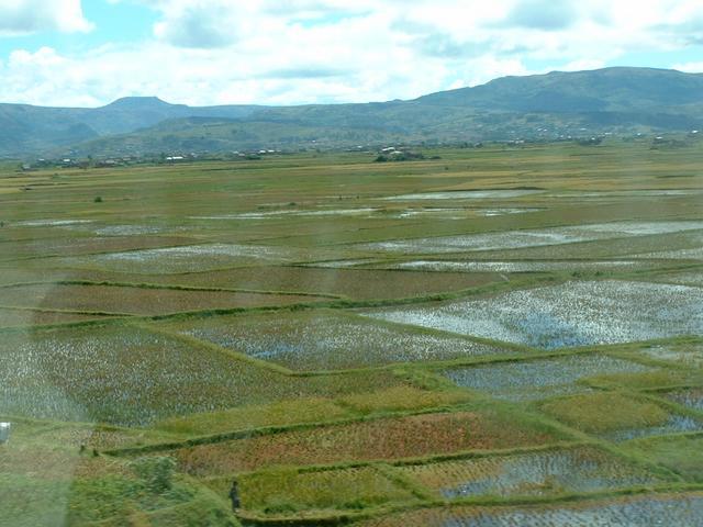200304 133 Madagascar