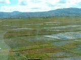200304 133 Madagascar