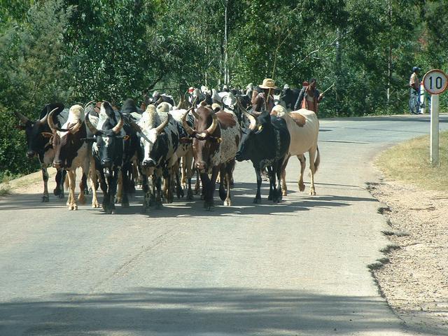 200304 168 Madagascar