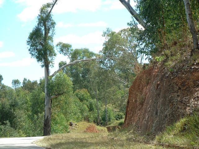200304 171 Madagascar