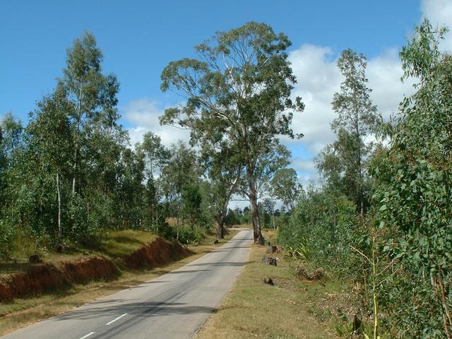 200304 172 Madagascar