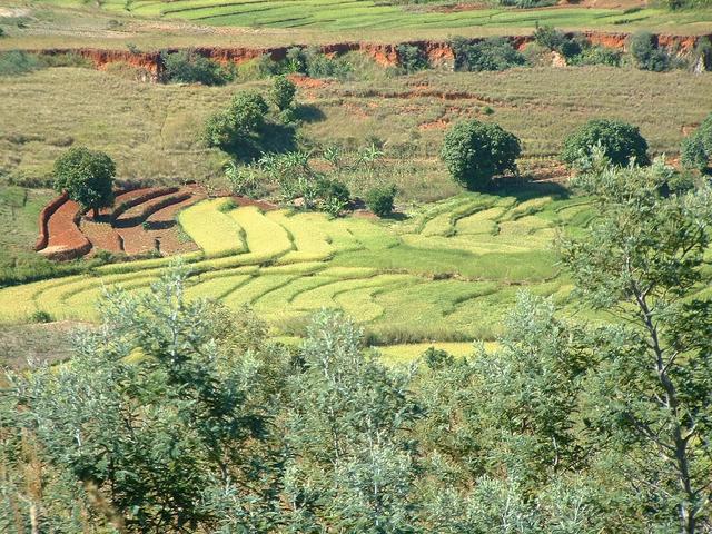 200304 177 Madagascar